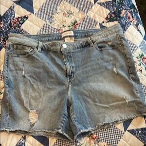 Lane Bryant Blue Distressed Jean Shorts